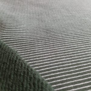 Green stirpede 3 yarn fabric in Kamer Fabric